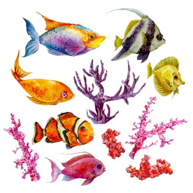 Marine set of Watercolor Vector Tropical Fish, Seaweed Coral Algae and Jellyfish