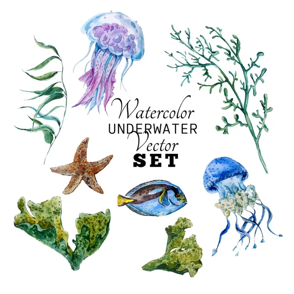 Marine set of Watercolor Vector Tropical Fish, Seaweed Coral Algae and Jellyfish