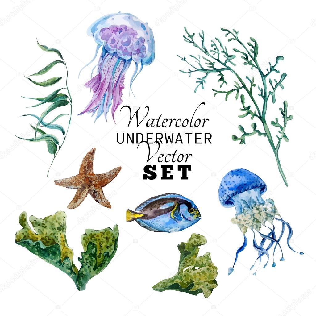 Marine set of Watercolor Vector Tropical Fish, Seaweed Coral Algae and Jellyfish