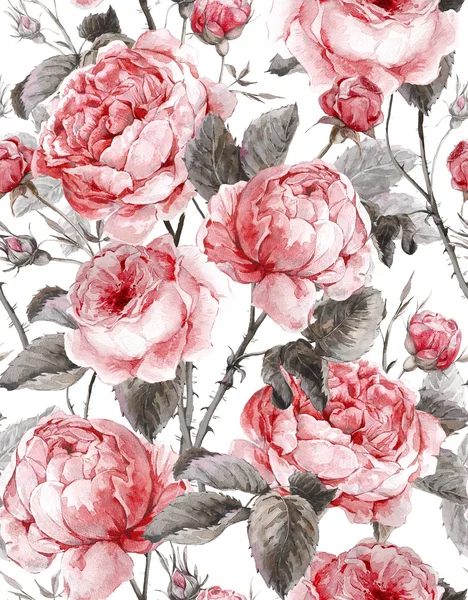 Classical vintage floral seamless pattern, watercolor bouquet of English roses — Stock Photo, Image