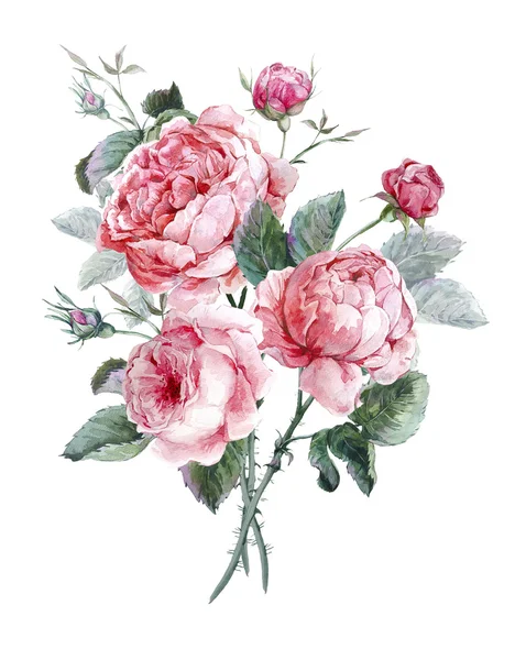 Classical vintage floral greeting card, watercolor bouquet of English roses — Stock Photo, Image