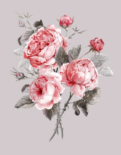 Clássico vintage floral cartão de saudação, bouquet aquarela de rosas inglesas — Fotografia de Stock