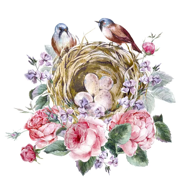 Classical watercolor floral vintage greeting card with rose birds nests and feathers — Stok fotoğraf