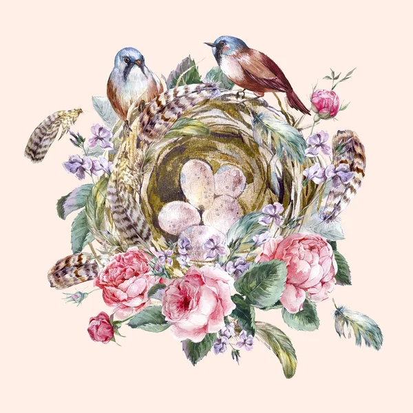 Classical watercolor floral vintage greeting card with rose birds nests and feathers — Stok fotoğraf