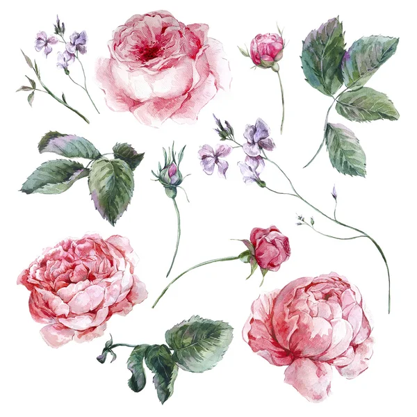 Set vintage watercolor bouquet of roses leaves branches flowers and wildflowers — Zdjęcie stockowe