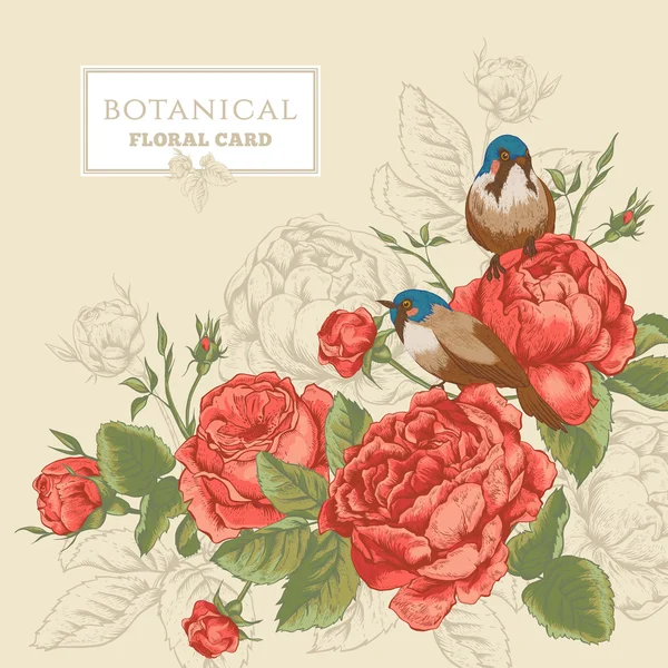 Βοτανική floral κάρτα με τριαντάφυλλα και πουλιά — Διανυσματικό Αρχείο