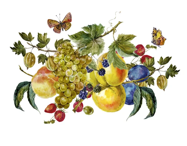 Autumn watercolor vintage card with fruits and butterflies — Stock Photo, Image