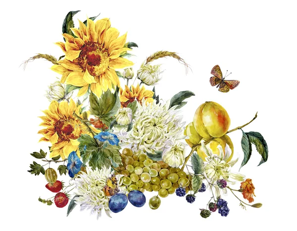 Карточка акварели с хризантемами, фруктами, подсолнухами — стоковое фото