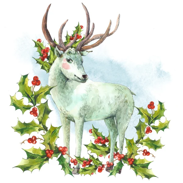 Watercolor greeting card, Snow white deer with Holly — Stock Photo, Image
