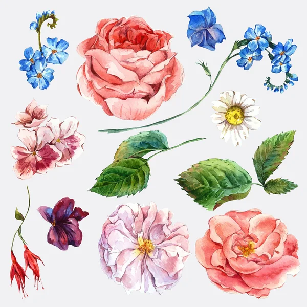 Set Vintage-Aquarell Strauß aus Rosen und Wildblumen — Stockfoto