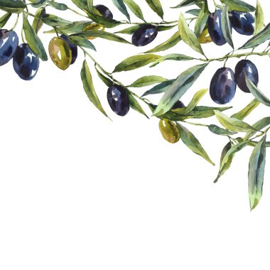 Greeting card with branches of olive tree clipart