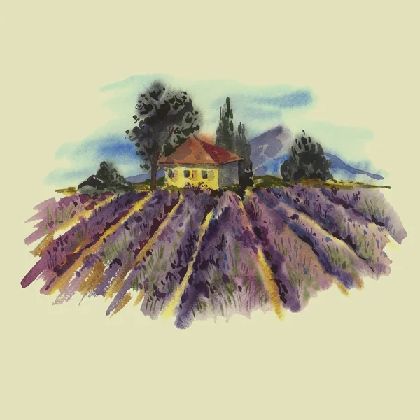 Акварельний пейзаж з квітучим лавандою — стокове фото