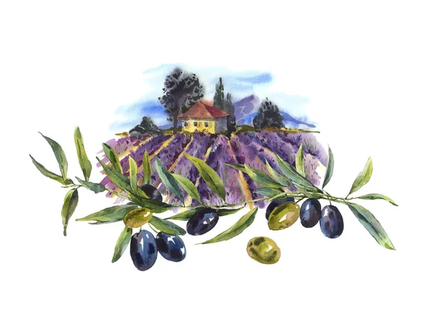Watercolor greeting card with avender and olives — Stock Photo, Image