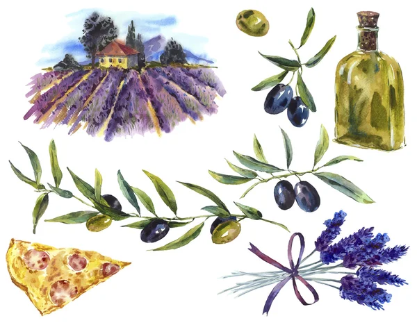 Set of watercolor branches olive oil, lavender, landscape