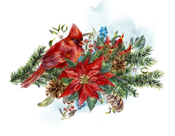 Noel tebrik kartı yılbaşı çiçeği ve kuş kırmızı Kardinal — Stok fotoğraf