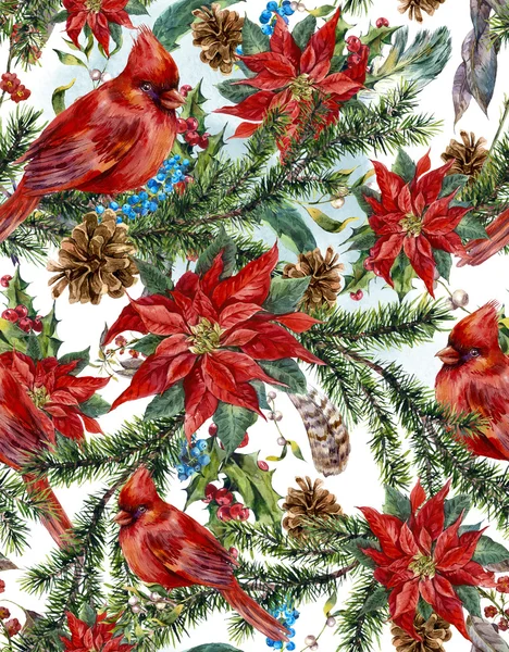 Het naadloze bloemmotief Kerstmis met poinsettia. — Stockfoto