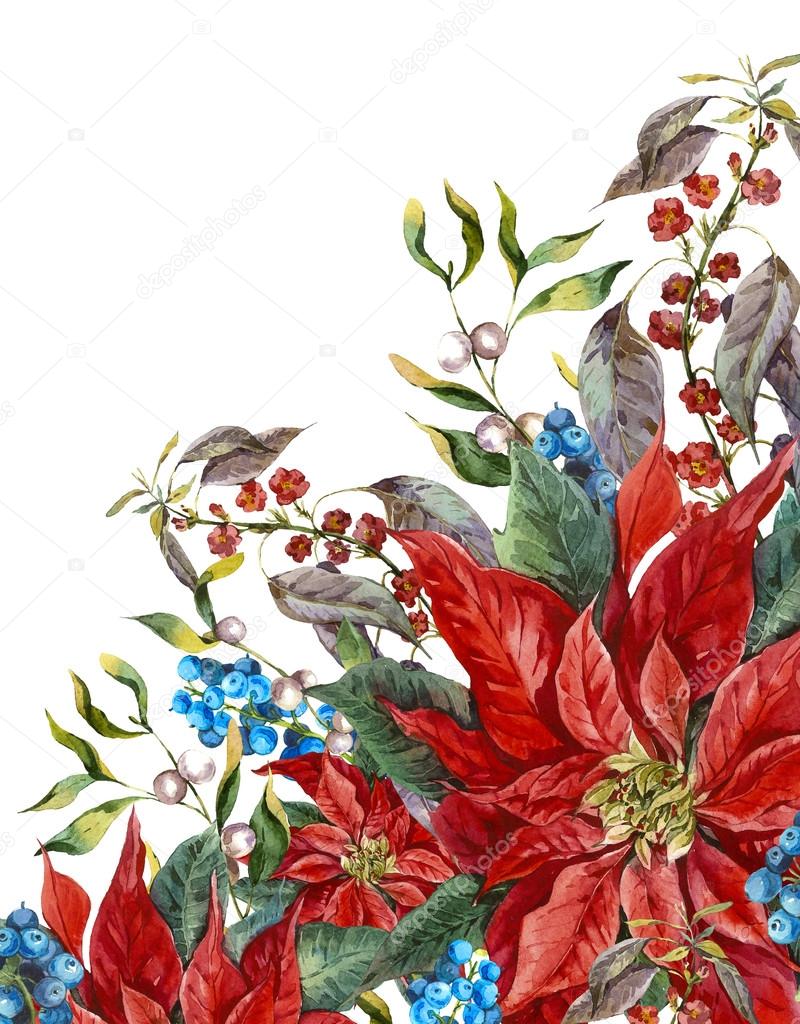 Christmas floral greeting card with poinsettia.