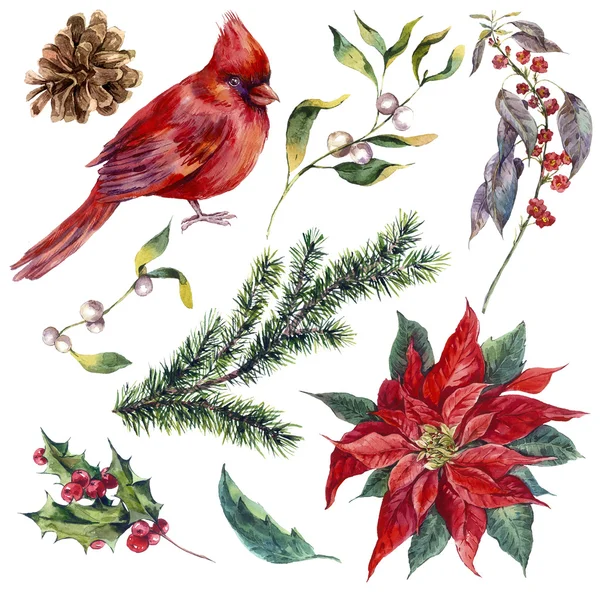 Holly, Vintage suluboya Noel unsurları ayarla Atatürk çiçeği,