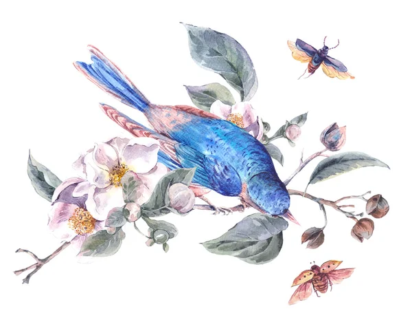 リンゴの木の花と鳥のヴィンテージのグリーティング カード — ストック写真