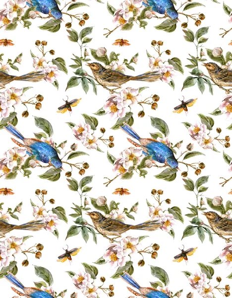 Sfondo senza cuciture primavera acquerello con uccelli — Foto Stock