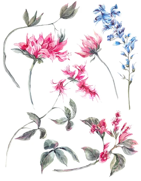 Ensemble d'aquarelle isolée feuilles séparément fleur — Photo