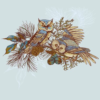 Baykuşlar, Ladin ve köknar ile koni Ghristmas tebrik kartı