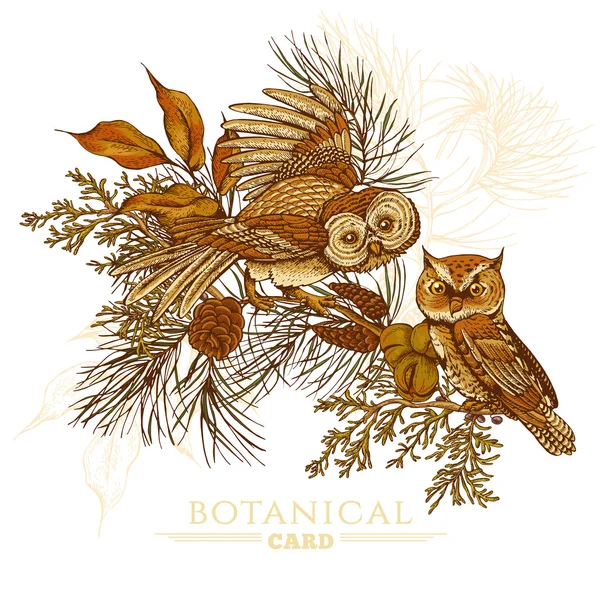 Cartão de saudação florestal com corujas, abetos e cones de abeto —  Vetores de Stock
