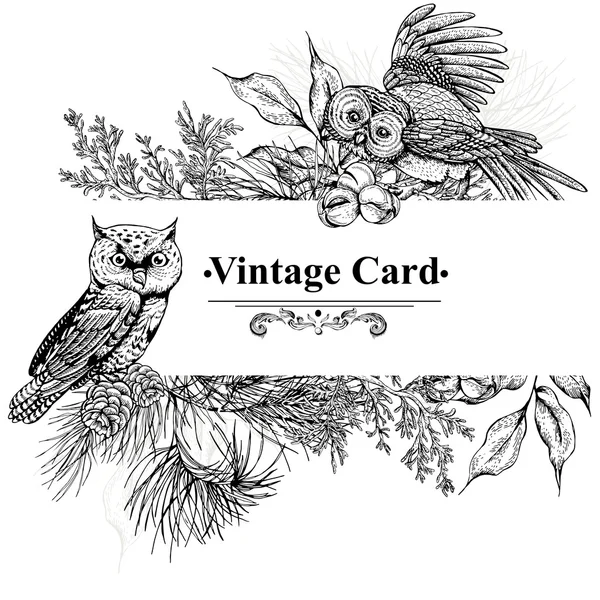 Cartões florestais com corujas, abetos e cones de abeto — Vetor de Stock