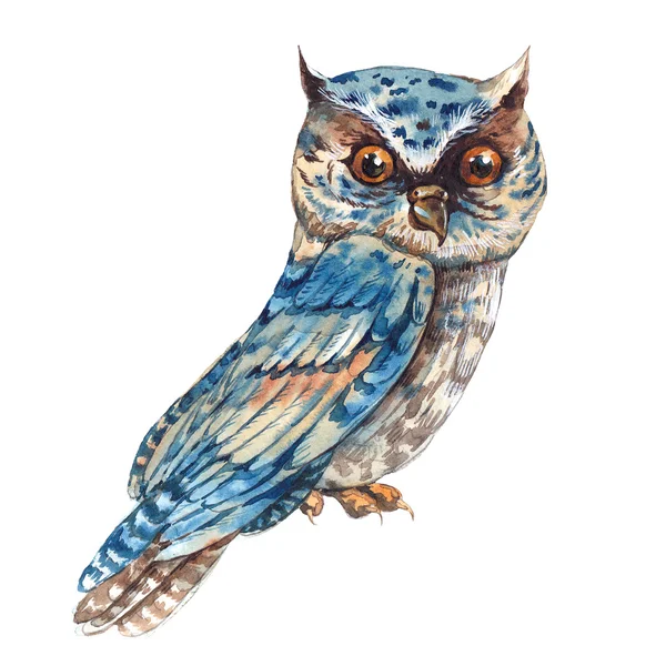 Watercolor owl isolated on white background — ストック写真