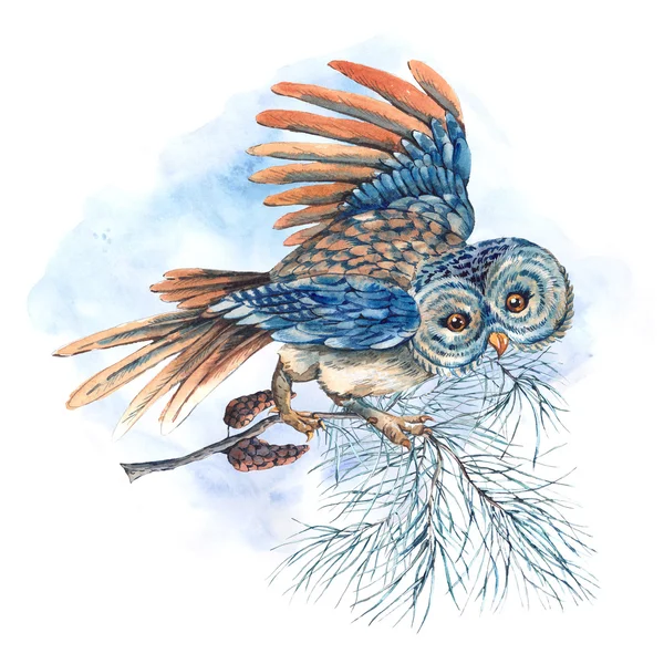 Watercolor greeting card with owls, spruce branches and fir cone — Stock fotografie