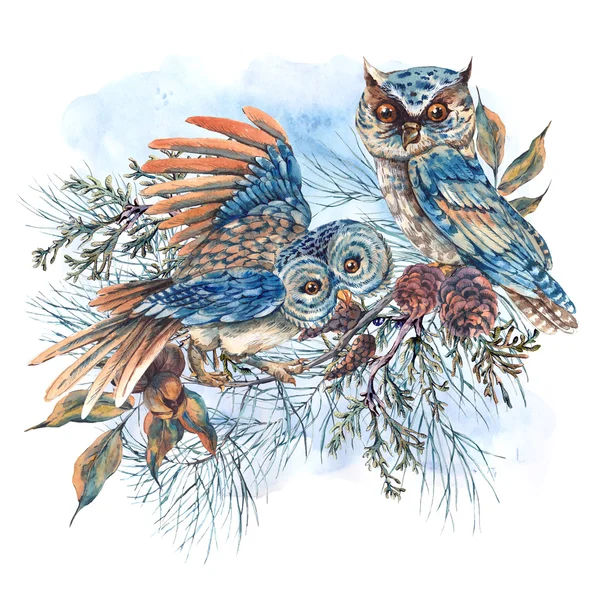 Watercolor greeting card with owls, spruce branches and fir cone — Stockfoto