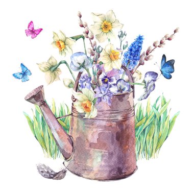 Bahar buket Nergis, Hercai Menekşe, muscari ve kelebekler