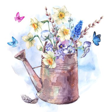 Bahar buket Nergis, Hercai Menekşe, muscari ve kelebekler