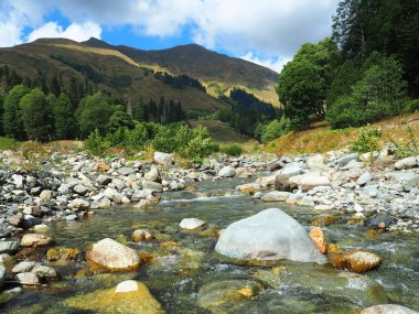 Abhazya Cumhuriyeti 'ndeki dağ nehri. Dağ nehrinde güzel ve soğuk sular