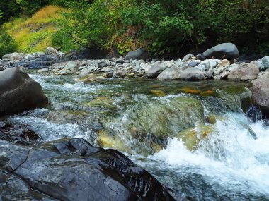 Abhazya 'da fırtınalı bir dağ nehri