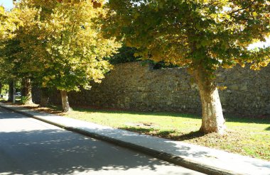 Abhazya 'nın Pitsunda şehrinde. 