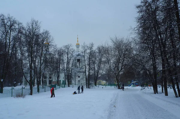 Moskova 'da kışın karla kaplı park. 