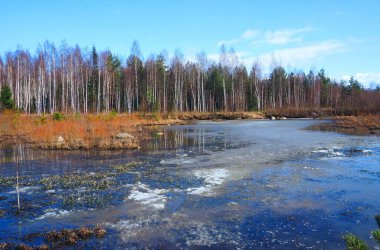 Aydınlık bir günde Bahar Ormanı Gölü.
