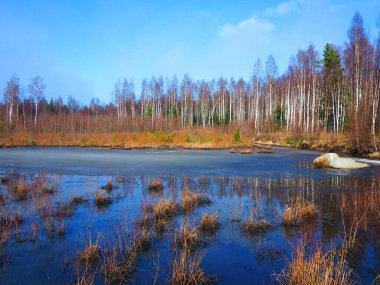 Aydınlık bir günde Bahar Ormanı Gölü.