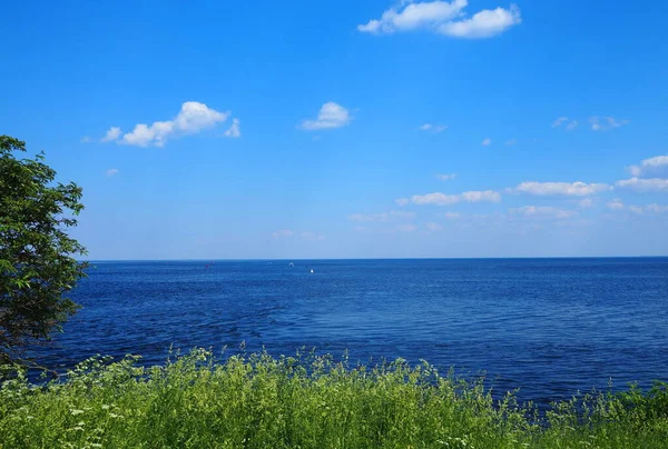 Río Neva Desemboca Lago Ladoga Gran Río Ruso Desemboca Lago —  Fotos de Stock