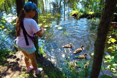 Bir kız göldeki ördekleri besler.