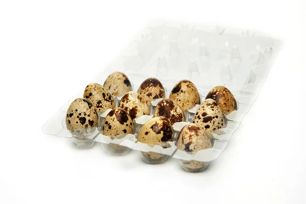 Huevos frescos de codorniz en una caja transparente aislada sobre fondo blanco —  Fotos de Stock