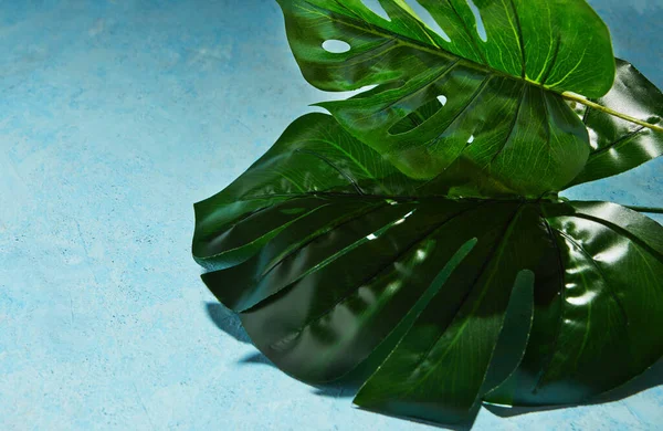 Background texture in blue with monstera leaf and hard shadow from monstera.