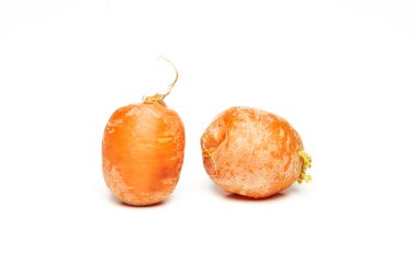 Beyaz arka planda taze, çirkin, çiğ havuç..