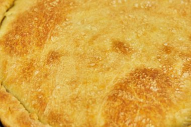 Pazı arkaplan dokusuna sahip İsviçre turtasını hazırla.