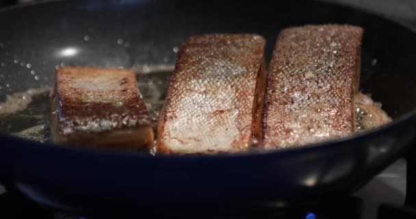 Salmón fresco se fríe en sartén en horno de gas — Vídeo de stock