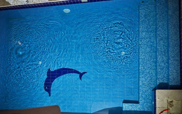 Großes Schwimmbad Mit Blauen Fliesen Und Einem Delphin Nachts Beleuchtet — Stockfoto