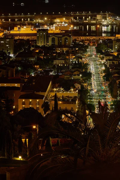 Vertical view of Haifa street illuminated by traffic lights, framed by palm trees and buildings, leading toward the port.