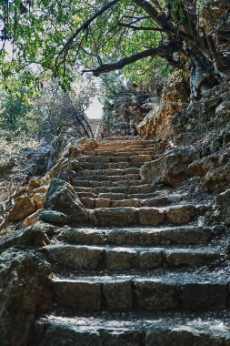 Kayalık orman arazisinde süzülen antik taş basamaklar, yeşil yapraklar ve doğal güneş ışığı altında yukarı doğru uzanır..