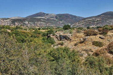 Dağların eteklerindeki yemyeşil bir vadi, ağaçlar ve kayalarla kaplı, bitki örtüsünün ve kuru arazinin kontrastını gösteriyor..